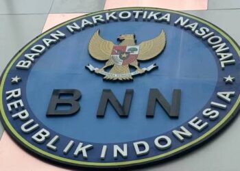 BNN Bongkar Jaringan Narkoba Internasional, 170 Cartridge Vape Etomidate Diselundupkan dari Malaysia