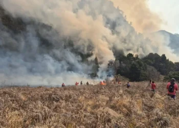 Kabar Gembira! Wisata Bromo Dibuka Kembali 20 Agustus Usai Karhutla