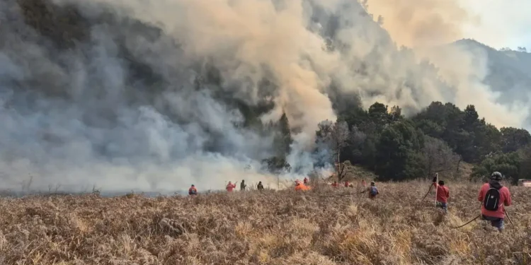 Kabar Gembira! Wisata Bromo Dibuka Kembali 20 Agustus Usai Karhutla