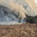 Kabar Gembira! Wisata Bromo Dibuka Kembali 20 Agustus Usai Karhutla