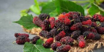 Demam Jangan Cuma Minum Obat, Lima Buah Ini Bisa Bantu Tubuh Lebih Cepat Pulih