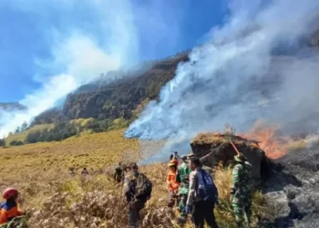 Akses ke Bromo Ditutup, Destinasi Wisata di Sekitar Probolinggo Tetap Dibuka
