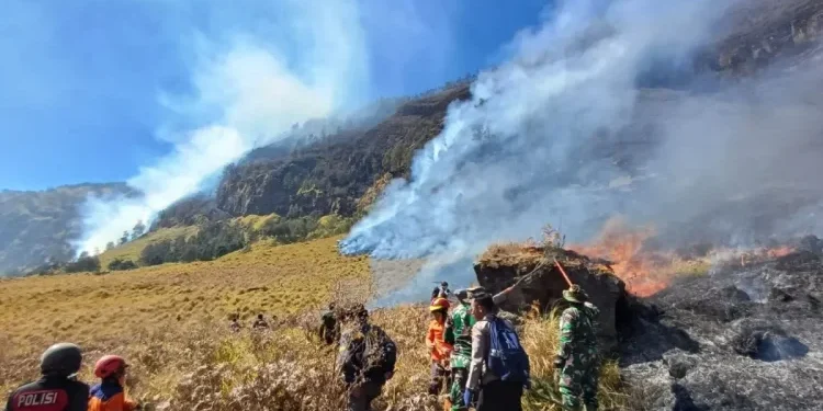 Akses ke Bromo Ditutup, Destinasi Wisata di Sekitar Probolinggo Tetap Dibuka