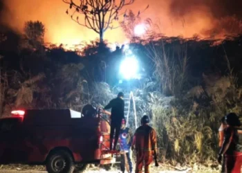 Karhutla Kalimantan Sulit Dipadamkan, Ternyata Ini 5 Penyebabnya