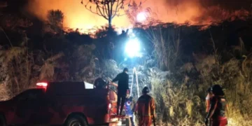 Karhutla Kalimantan Sulit Dipadamkan, Ternyata Ini 5 Penyebabnya