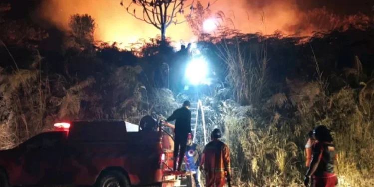 Karhutla Kalimantan Sulit Dipadamkan, Ternyata Ini 5 Penyebabnya