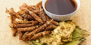 Namanya Liang Teh, Tapi Ternyata Bukan Teh! Ini Asal-usul Minuman Herbal Ini