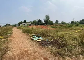 Fakta Baru Mutilasi Depok: Pelaku Kenal Korban Lewat Medsos, Motor Dijual ke Pandeglang