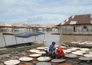 BRI Perkuat Sustainable Finance, Portofolio Pembiayaan Berkelanjutan Capai Rp842,1 Triliun