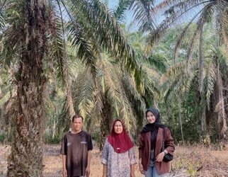 Menyusuri Perkebunan Sawit dan Karet, Mantri BRI Menjaga Akses Keuangan di Sumatera Selatan