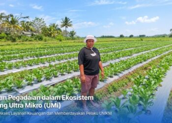 Dari Gadai Emas hingga KUR Mikro, Holding Ultra Mikro Bawa Mur Dwi Astuti Sukses Jadi Petani di Merauke