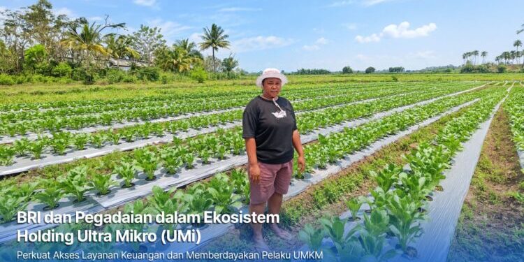 Dari Gadai Emas hingga KUR Mikro, Holding Ultra Mikro Bawa Mur Dwi Astuti Sukses Jadi Petani di Merauke