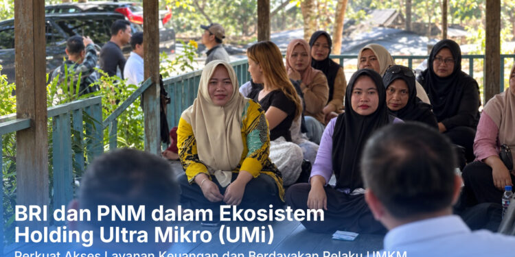 Pembiayaan Ultra Mikro Bawa Perubahan, Kisah Mawiyah Berhasil Perbaiki Ekonomi Keluarga di Sepaku Kalimantan Timur
