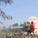 Pembakaran Sampah Mandiri Berujung Bencana, Dampak Buruk bagi Lingkungan