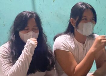 Dampak Abu Vulkanik Anak Krakatau Bagi Lingkungan