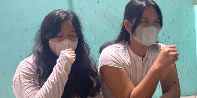 Dampak Abu Vulkanik Anak Krakatau Bagi Lingkungan