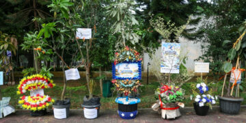 Unik! HUT ke-26 Banten Dirayakan dengan Ratusan Tanaman, Ada Pohon Buah hingga Tanaman Hias