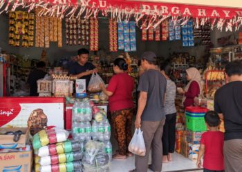 Lebih dari Sekadar Modal, KUR BRI Bantu Fitriani Besarkan Usaha hingga Buka Lapangan Kerja bagi Warga Sekitar