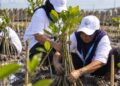 Lindungi Pantai Utara Jawa dari Abrasi, BRI Tanam 30 Ribu Bibit Mangrove dan Manfaatkan Sampah Jadi Pemecah Ombak Melalui Program BRI Peduli