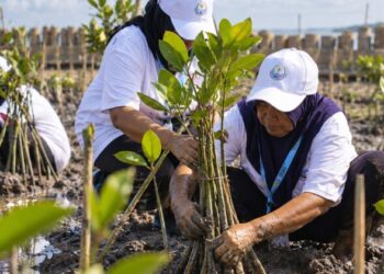 Lindungi Pantai Utara Jawa dari Abrasi, BRI Tanam 30 Ribu Bibit Mangrove dan Manfaatkan Sampah Jadi Pemecah Ombak Melalui Program BRI Peduli