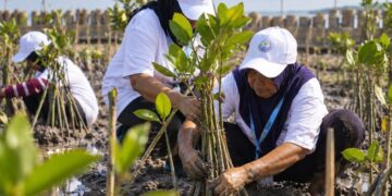 Lindungi Pantai Utara Jawa dari Abrasi, BRI Tanam 30 Ribu Bibit Mangrove dan Manfaatkan Sampah Jadi Pemecah Ombak Melalui Program BRI Peduli