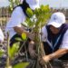 Lindungi Pantai Utara Jawa dari Abrasi, BRI Tanam 30 Ribu Bibit Mangrove dan Manfaatkan Sampah Jadi Pemecah Ombak Melalui Program BRI Peduli