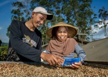 BRI Salurkan KUR Rp144 Triliun kepada 2,76 Juta Debitur, Jadi Motor Penggerak Sektor Produktif dan UMKM Nasional
